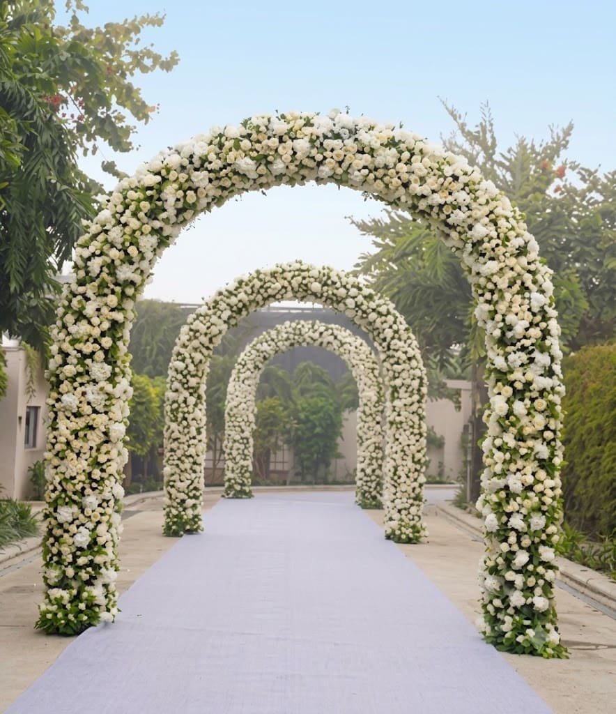 Aashvi Nursery plants and gardening services in Jaipur
