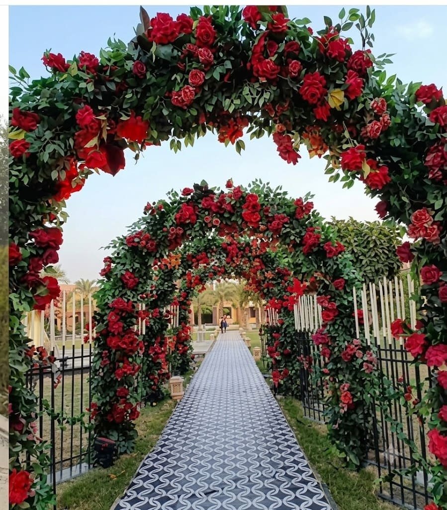 Aashvi Nursery plants and gardening services in Jaipur