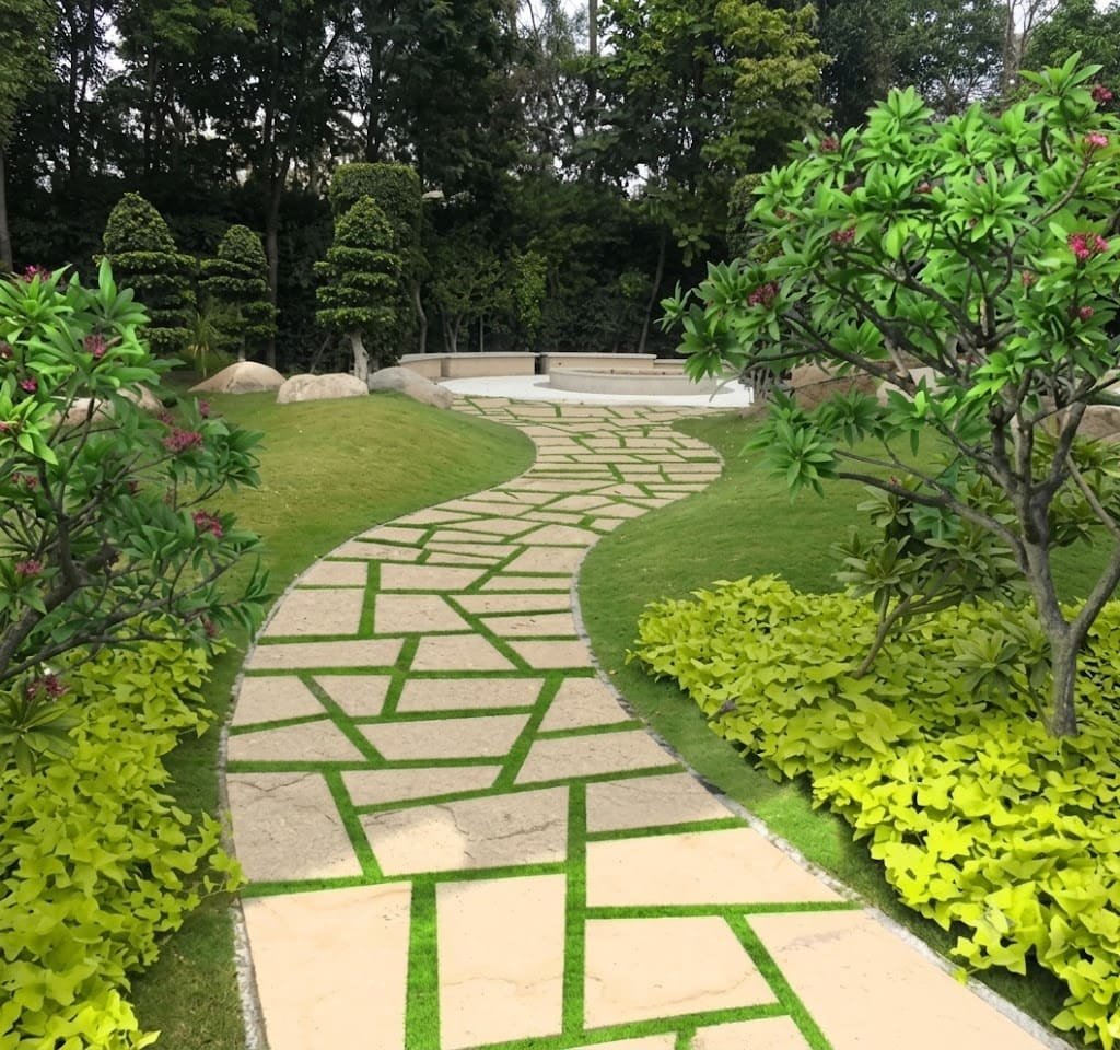 Aashvi Nursery plants and gardening services in Jaipur