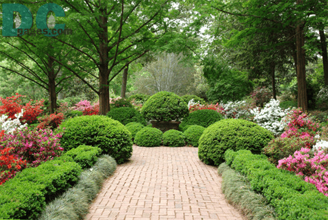 Gardener developing a residential garden in Jaipur