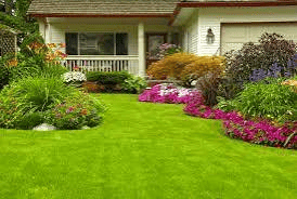 Weeding and soil care for a maintained garden