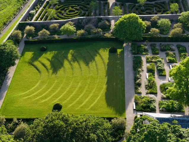 Professional pruning and trimming during garden maintenance in Jaipur